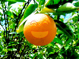 SmilingOrange